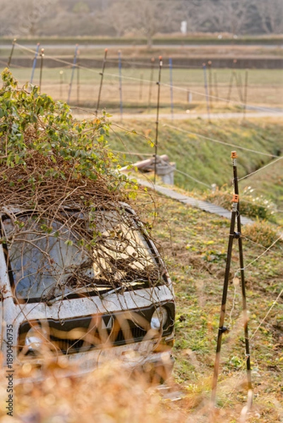Obraz ツルに覆われた古い車