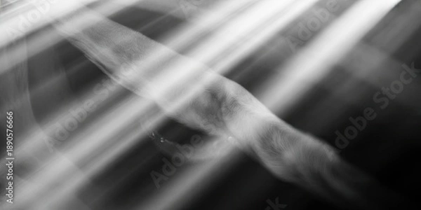 Obraz Abstract light and shadow