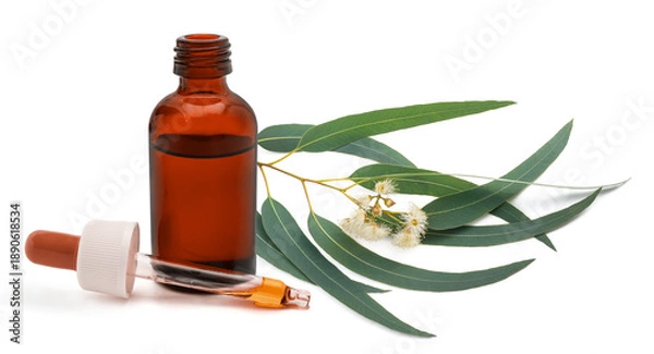 Obraz Eucalyptus branch with bottle with  essential oil