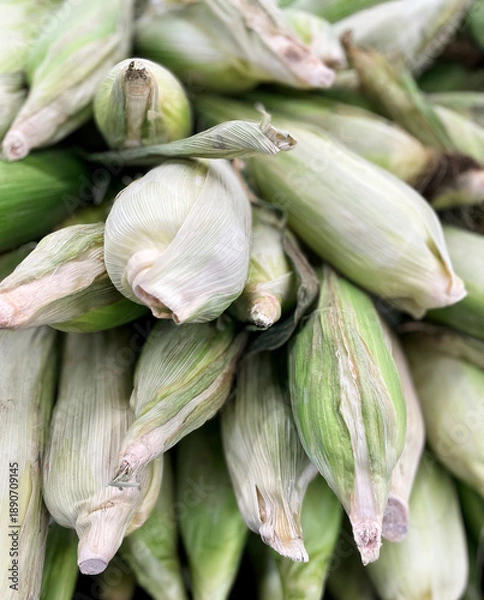 Fototapeta Stacked Corn Pattern