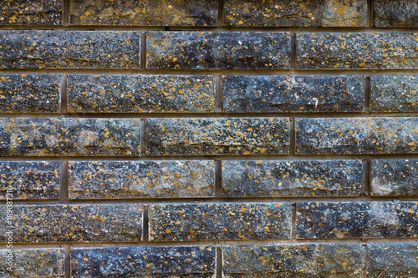 Obraz black brick wall with rye