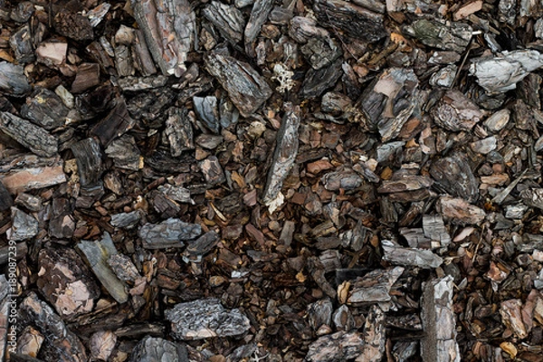 Obraz wood fragments old