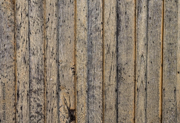 Obraz Tree wall background