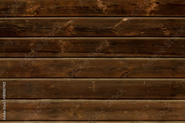 Obraz Tree wall background