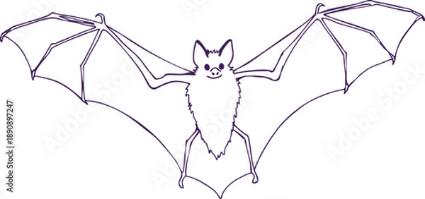 Obraz Bat Outline Drawing Illustration