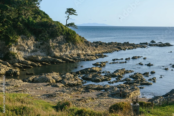 Obraz 荒崎海岸の荒々しい岩場と断崖と松の木が織りなす自然景観　神奈川県横須賀市
