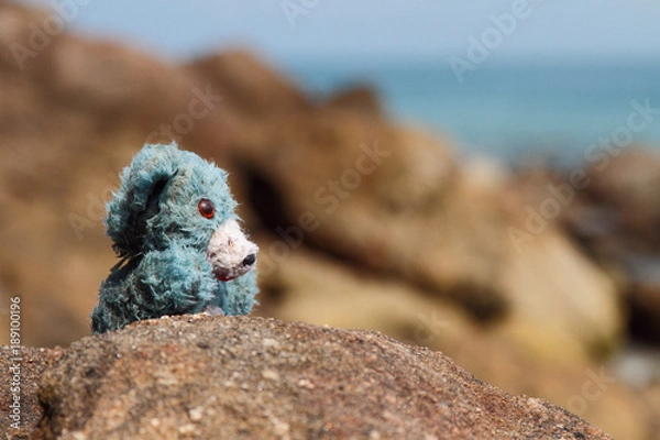 Obraz Forgotten teddy bear on the seashore