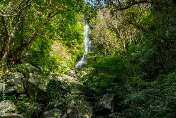 Obraz フナンギョの滝