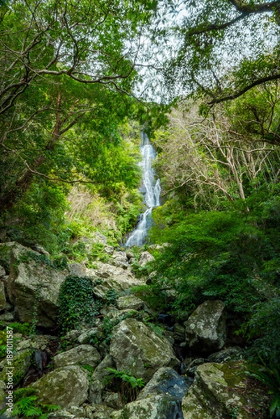 Obraz フナンギョの滝