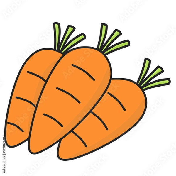 Obraz Carrot Illustration