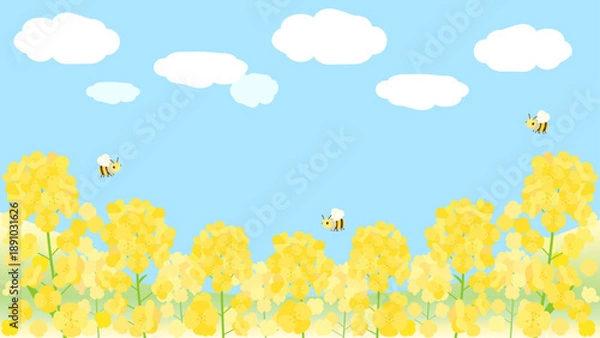 Obraz 青空に映える菜の花畑をイメージしたイラスト　16：9バージョン