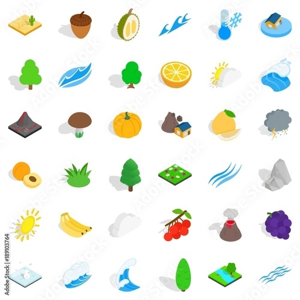 Fototapeta Forest mushroom icons set, isometric style