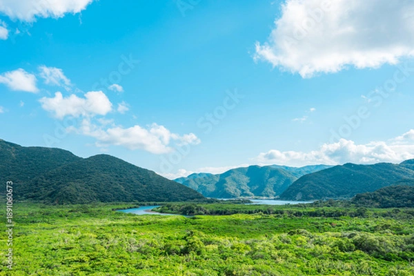 Obraz マングローブ展望台