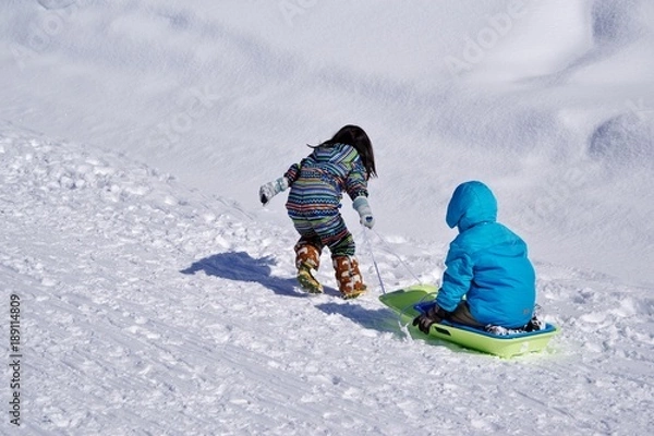 Obraz スキー場でそり遊びをする子供たち