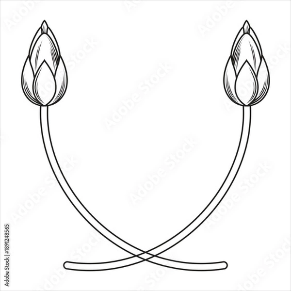 Obraz  lotus bud line art frame Vector