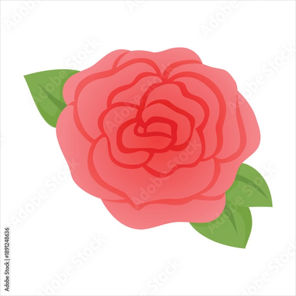 Obraz Stylized pink rose illustration Vector