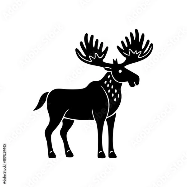 Fototapeta  moose standing, 