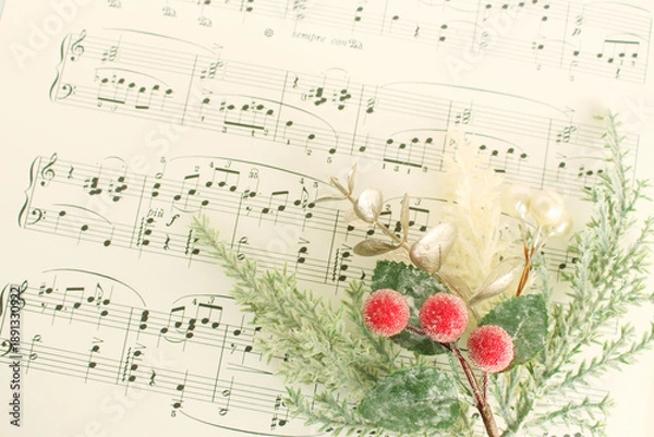 Obraz ミモザの花