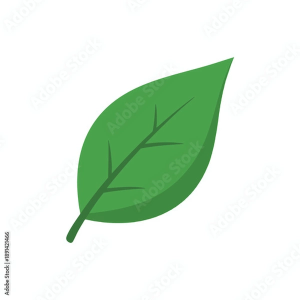 Obraz Green Leaf Icon on White Background