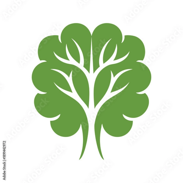 Fototapeta Brain Tree Growth Logo vector icon template