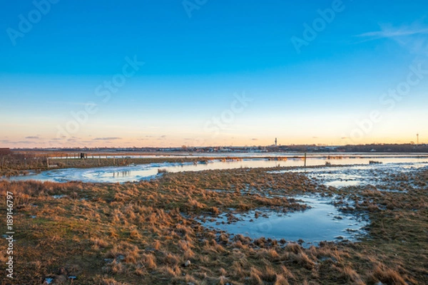 Obraz Winterliche Landschaft im Naturschutzgebiet Graswarder in Heiligenhafen