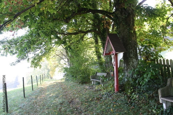 Obraz Jesienne wedrowki.