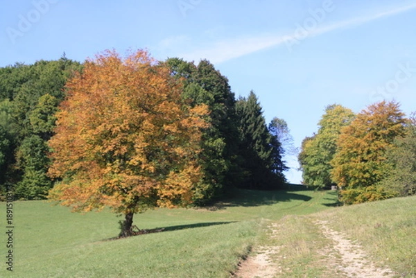 Obraz Jesienne wedrowki.