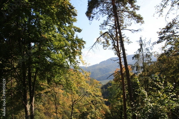 Obraz Jesienne wedrowki.