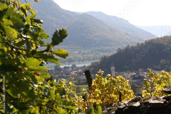 Obraz Jesienne wedrowki.