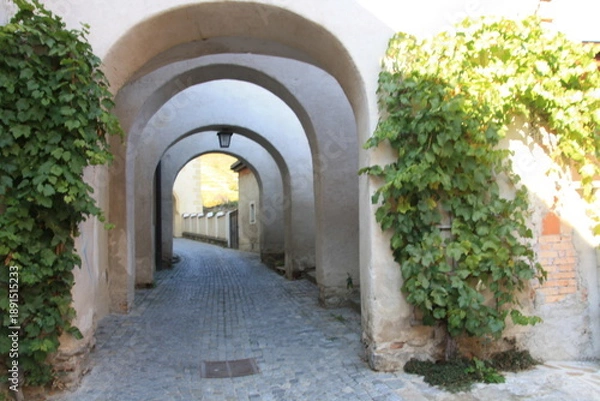 Obraz Jesienne wedrowki.