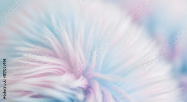 Obraz ピンクとブルーが溶け合う幻想的な羽毛テクスチャ｜やさしく広がる抽象背景

