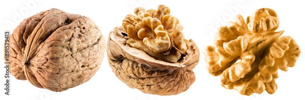 Obraz Walnut isolated on white background
