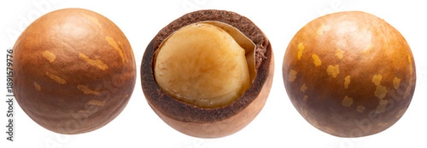 Obraz Macadamia nuts isolated on white background