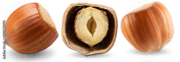 Obraz Hazelnuts isolated on a white background