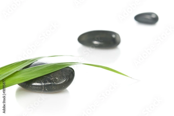 Obraz Bamboo leaves and pebbles