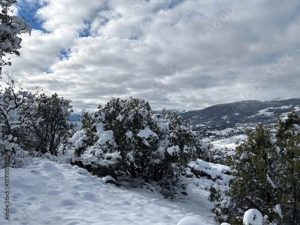 Obraz Nevada en la sierra 