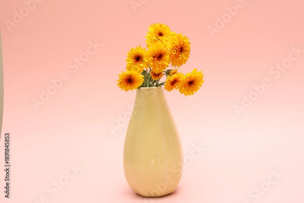 Fototapeta ピンク背景の花瓶に活けた菊