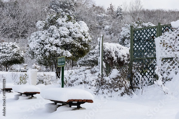 Obraz 雪に包まれたぎふワールドローズガーデンのベンチと庭園の冬景色