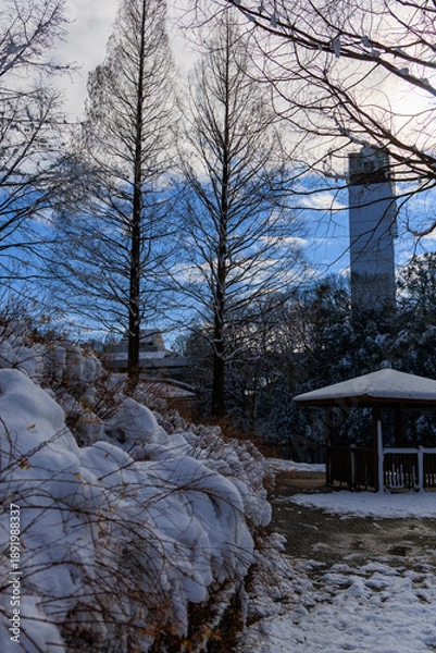 Obraz 雪に包まれたぎふワールドローズガーデンの東屋と池の冬景色
