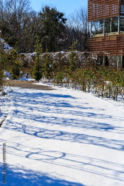 Obraz 青空の下で雪に覆われたぎふワールドローズガーデンの園路と冬景色