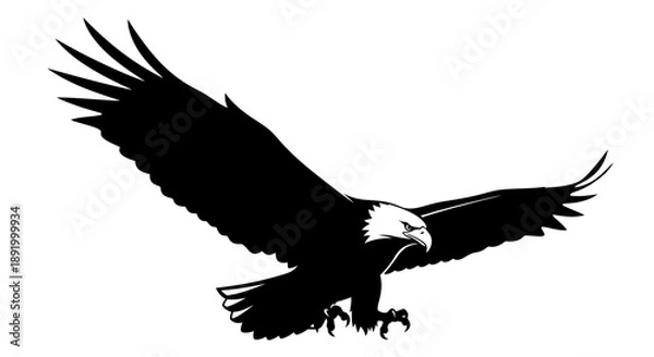 Obraz eagle in flight
