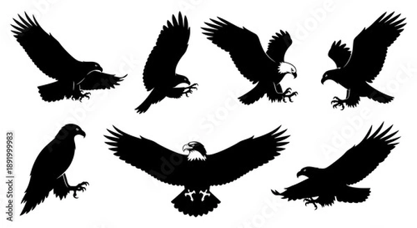 Obraz eagle vector illustration