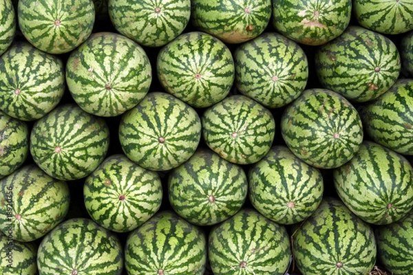 Obraz Watermelons