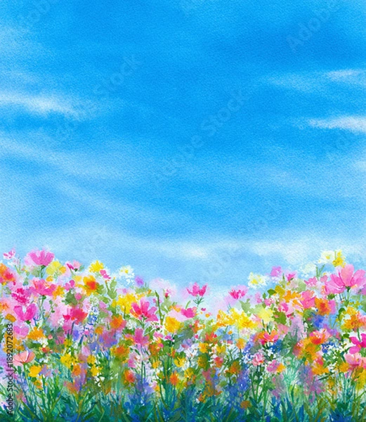 Obraz 秋の空とコスモスの丘の風景