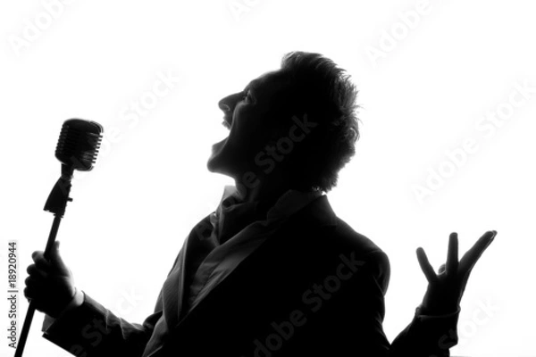 Obraz Singer and microphone