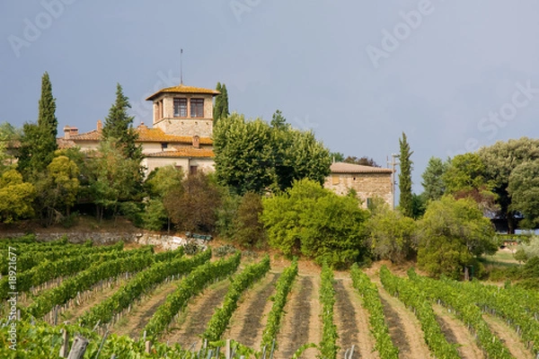 Obraz Weingut in der Toskana