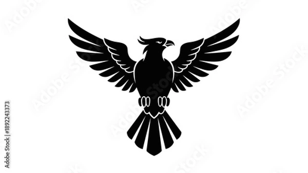 Obraz Eagle silhouette with outstretched wings