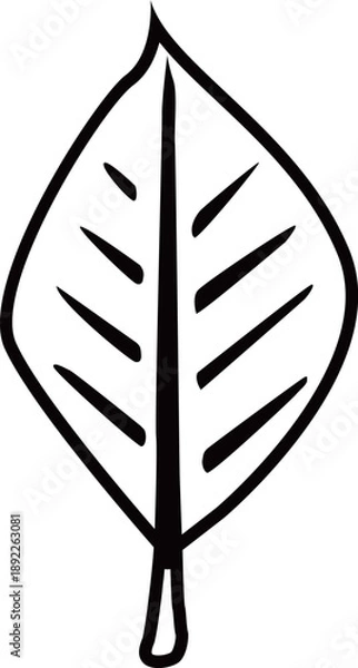 Obraz 葉脈のある葉のアウトライン白黒線画イラスト 透明背景