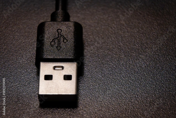 Fototapeta black usb cable