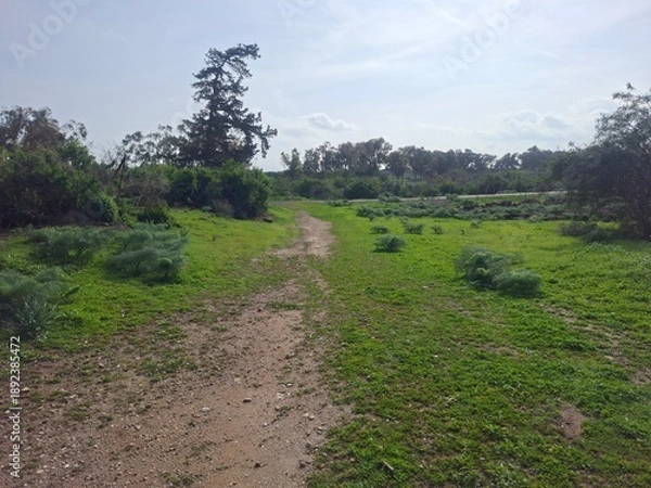 Fototapeta path in the mountains